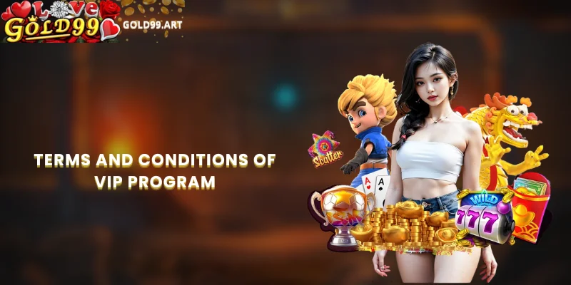 Terms and Conditions of VIP Program