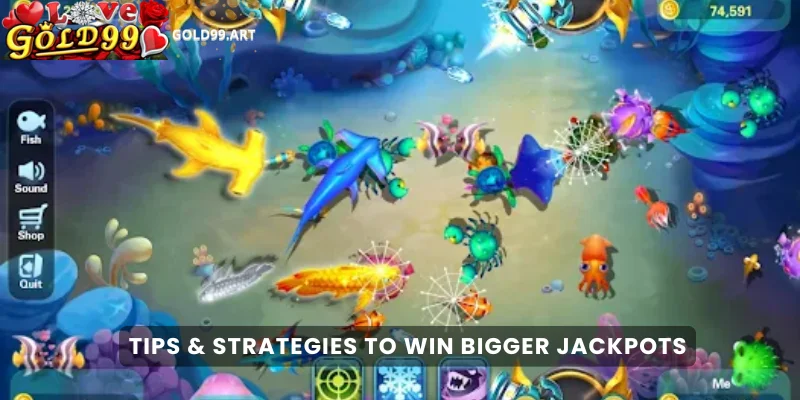 Tips & Strategies to Win Bigger Jackpots
